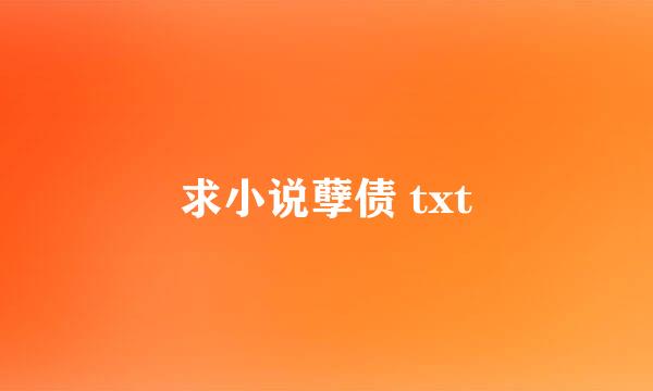 求小说孽债 txt