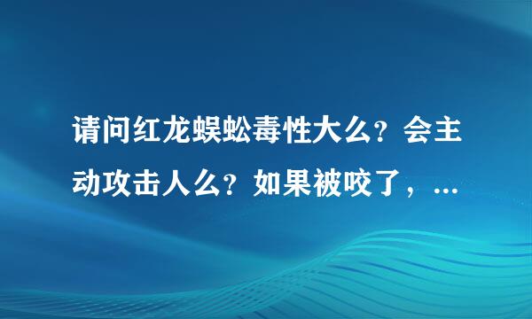 请问红龙蜈蚣毒性大么？会主动攻击人么？如果被咬了，应该怎么处理伤口