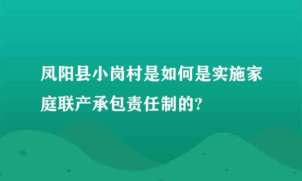 凤阳县小岗村是如何是实施家庭联产承包责任制的?