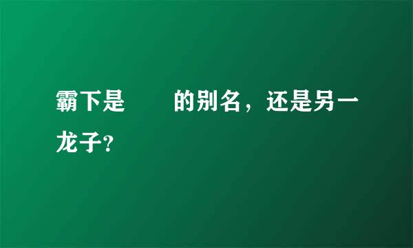 霸下是赑屃的别名，还是另一龙子？