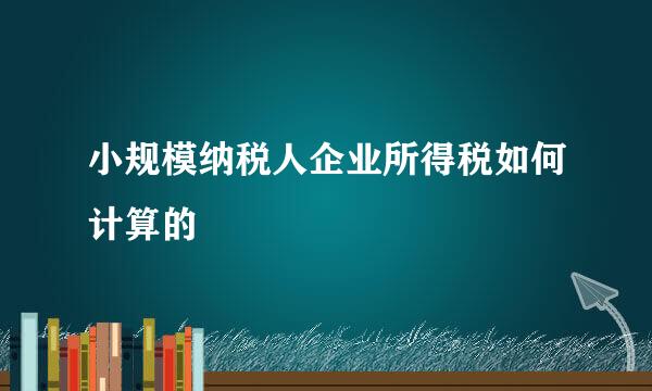 小规模纳税人企业所得税如何计算的