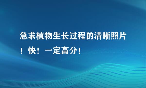 急求植物生长过程的清晰照片！快！一定高分！