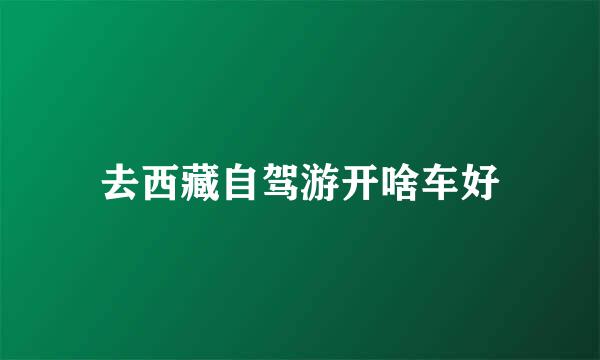 去西藏自驾游开啥车好