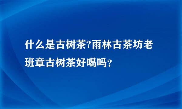 什么是古树茶?雨林古茶坊老班章古树茶好喝吗？