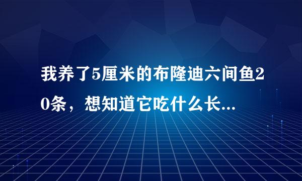 我养了5厘米的布隆迪六间鱼20条，想知道它吃什么长的最快？最快？最快？