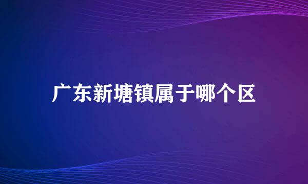 广东新塘镇属于哪个区