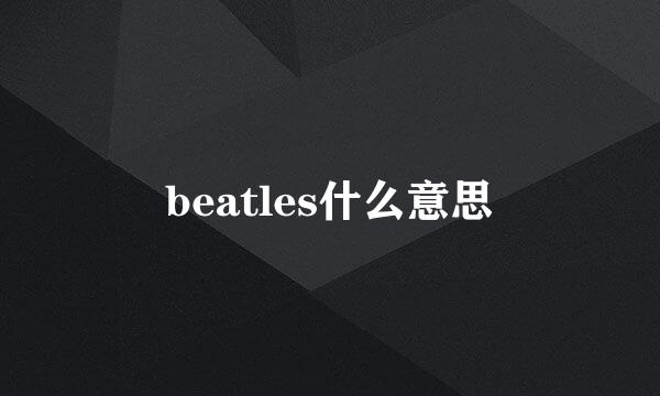 beatles什么意思