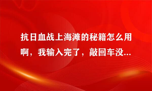 抗日血战上海滩的秘籍怎么用啊，我输入完了，敲回车没反应，急