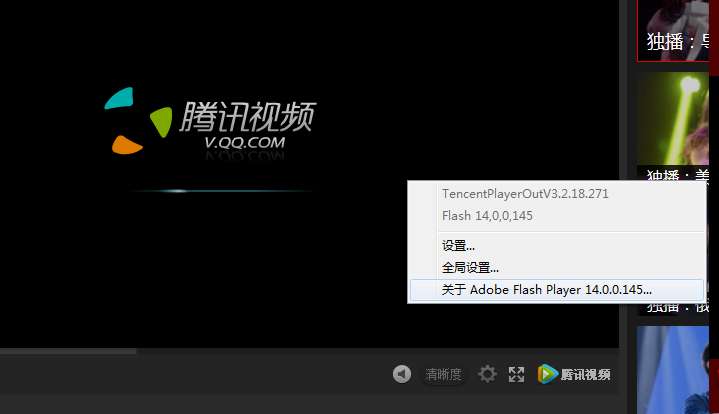 Flash Player 版本10.1插件