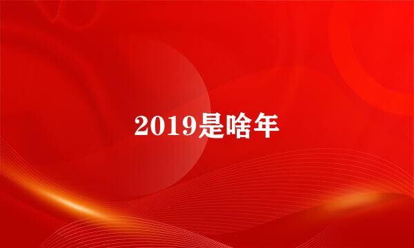 2019是啥年