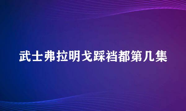 武士弗拉明戈踩裆都第几集