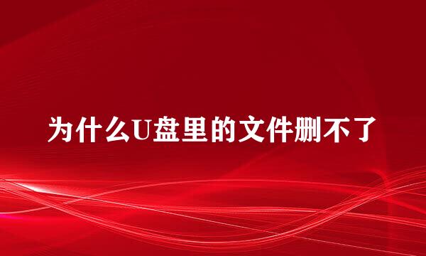 为什么U盘里的文件删不了