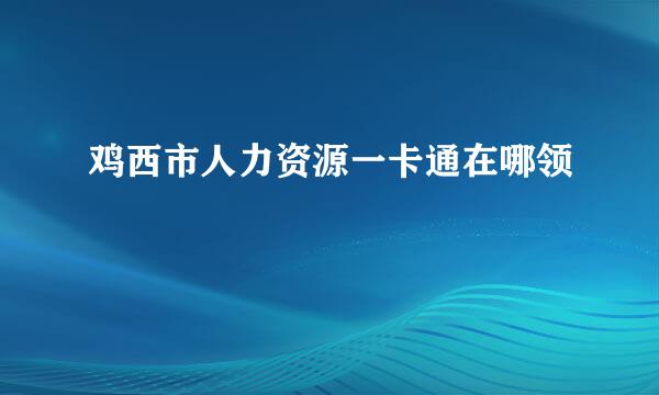 鸡西市人力资源一卡通在哪领