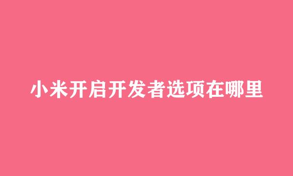 小米开启开发者选项在哪里