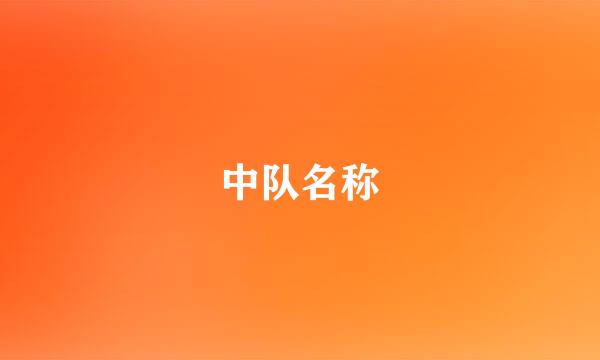 中队名称