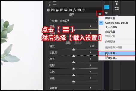 XMP文件要怎么查看啊??