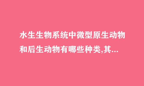 水生生物系统中微型原生动物和后生动物有哪些种类,其出现的频率同污水品质有何关联？