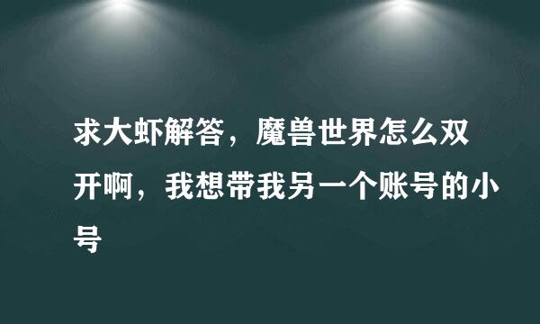 求大虾解答，魔兽世界怎么双开啊，我想带我另一个账号的小号