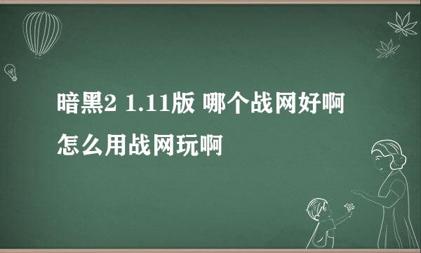 暗黑2 1.11版 哪个战网好啊 怎么用战网玩啊