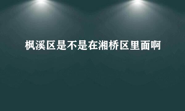 枫溪区是不是在湘桥区里面啊