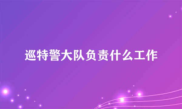 巡特警大队负责什么工作