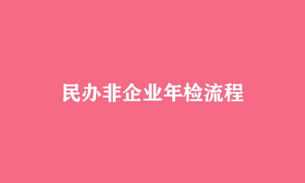 民办非企业年检流程