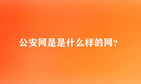 公安网是是什么样的网？