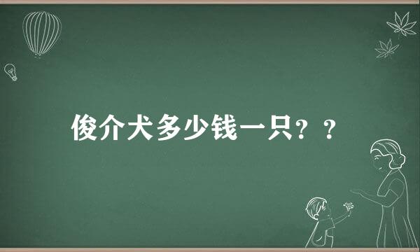 俊介犬多少钱一只？？