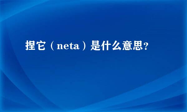 捏它（neta）是什么意思？