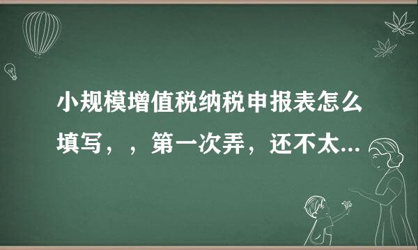 小规模增值税纳税申报表怎么填写，，第一次弄，还不太懂 跪求大神