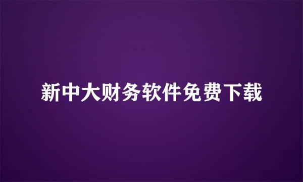 新中大财务软件免费下载