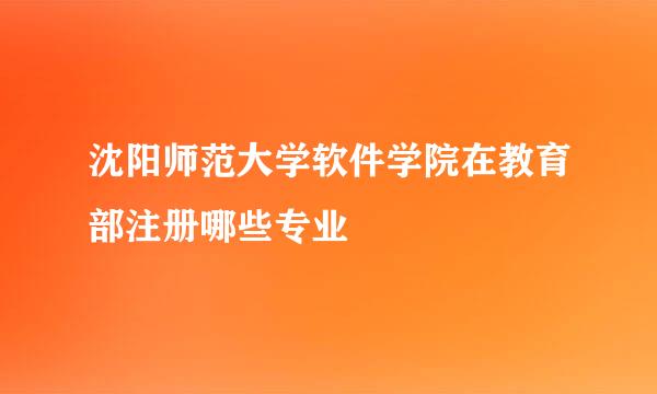 沈阳师范大学软件学院在教育部注册哪些专业