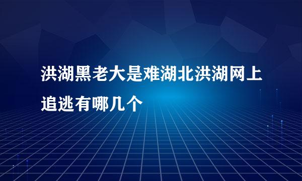 洪湖黑老大是难湖北洪湖网上追逃有哪几个