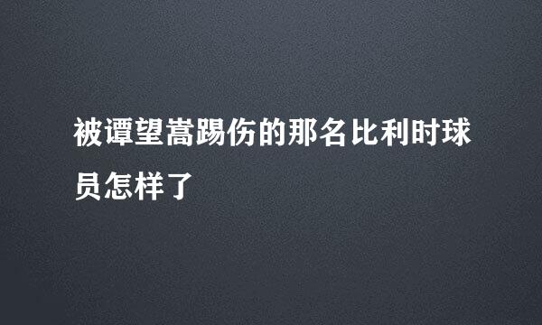 被谭望嵩踢伤的那名比利时球员怎样了