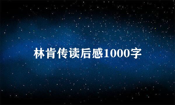 林肯传读后感1000字