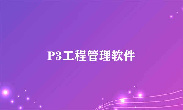 P3工程管理软件