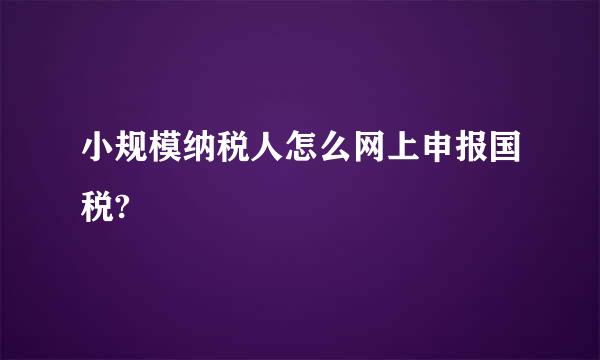 小规模纳税人怎么网上申报国税?