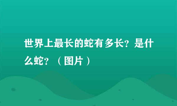 世界上最长的蛇有多长？是什么蛇？（图片）