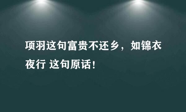 项羽这句富贵不还乡，如锦衣夜行 这句原话！