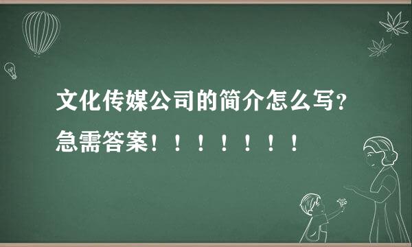 文化传媒公司的简介怎么写？急需答案！！！！！！！