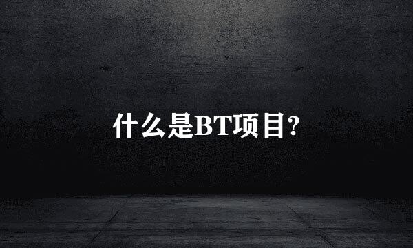 什么是BT项目?