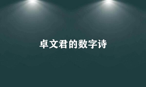 卓文君的数字诗