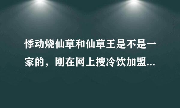 悸动烧仙草和仙草王是不是一家的，刚在网上搜冷饮加盟的项目，看到了这两个品牌。