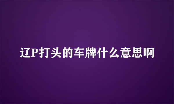 辽P打头的车牌什么意思啊