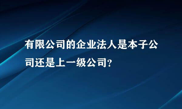 有限公司的企业法人是本子公司还是上一级公司？