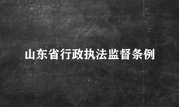 山东省行政执法监督条例