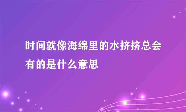 时间就像海绵里的水挤挤总会有的是什么意思