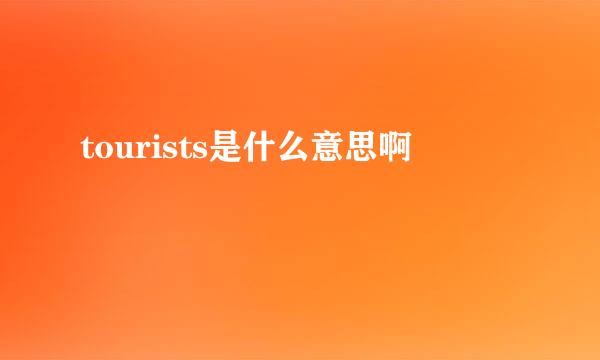 tourists是什么意思啊