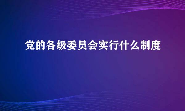 党的各级委员会实行什么制度