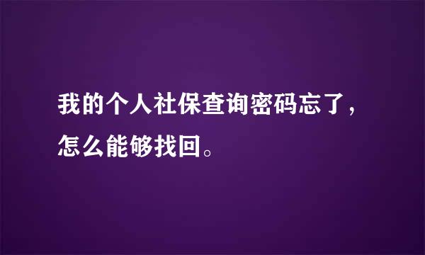 我的个人社保查询密码忘了，怎么能够找回。